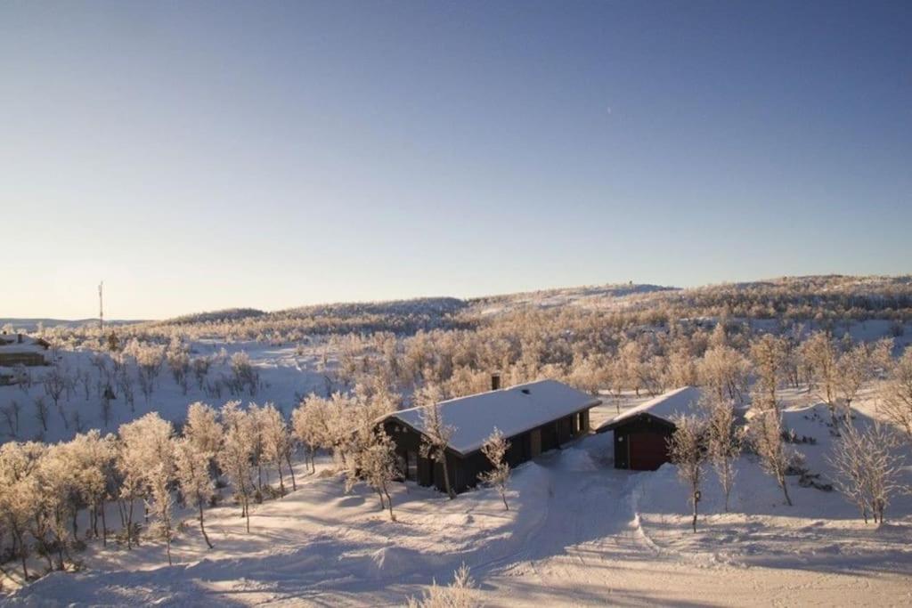 Nydelig Og Moderne Hytte Pa Kikut Geilo - 6 Senger, 4 Soverom Og Jacuzzi Villa Eksteriør bilde